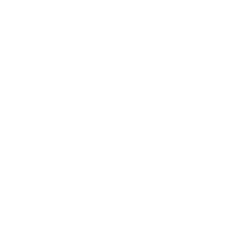 Logo Ferregon